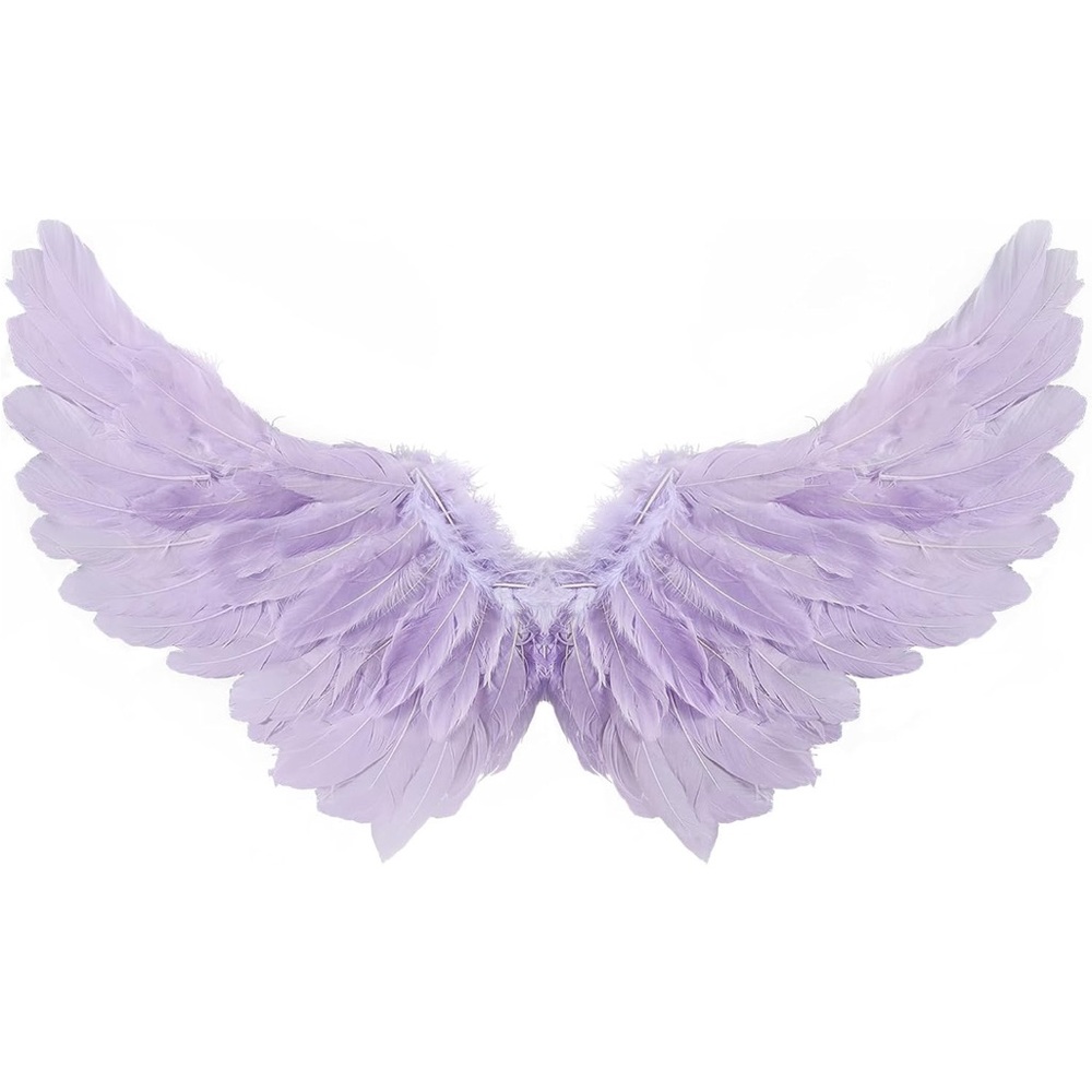 Purple Angel Wings HALLOWEEN COSPLAY
